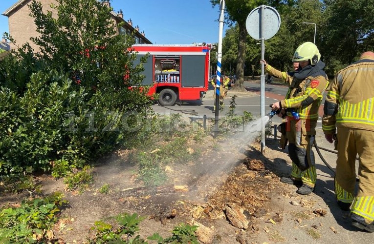 Brandweer rukt uit voor bermbrand in Oldenzaal