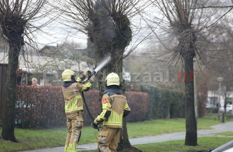 Vuurwerk zorgt voor brandje in boom Oldenzaal