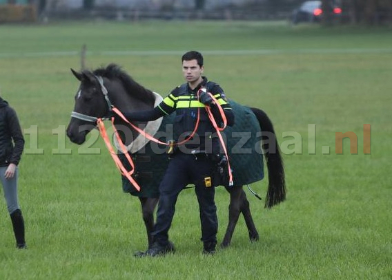 Paardentrailer op de kant bij ongeval tussen Oldenzaal en Denekamp